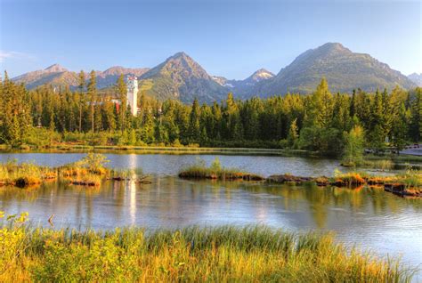 Nové Štrbské pleso a okolité lesy