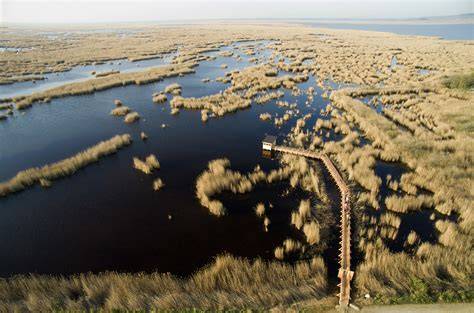 ekologicky obraz Seewinkel a Neusiedler See