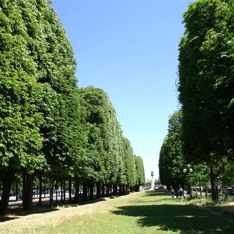 Cours de la Reine promenáda