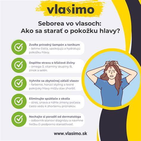 infografika o symbolike kufra vo sne
