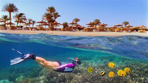 potápanie Hurghada šnorchlovanie
