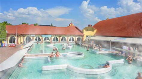 termálny bazén a tobogany ilustrácia