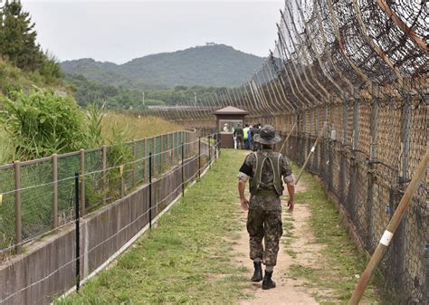 DMZ severna Korea obraz