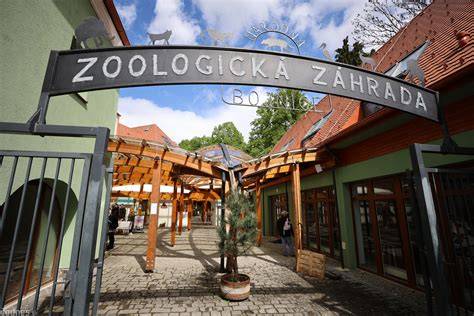 zoologicka-zahrada-fontana