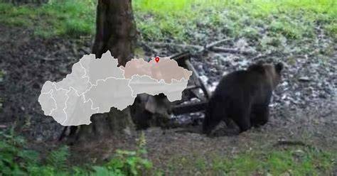 turistická karta Bardejovských kúpeľov