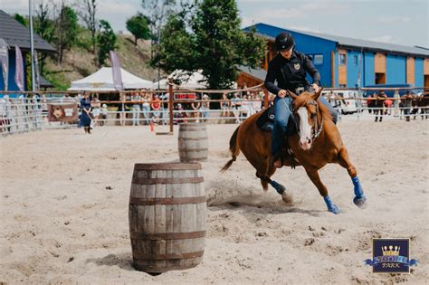 jazdecký areál Nestville Horses