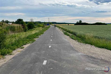 letisko senica (letisko a borovicový les)