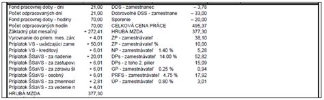 kontrola správnosti výplatnej pásky a proces nápravy