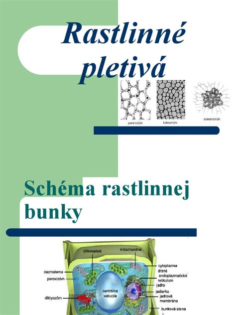 Rastlinné štruktúry a špecifické zóny v Európe