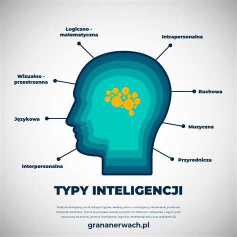 Infografika: typy ubytovania Nin