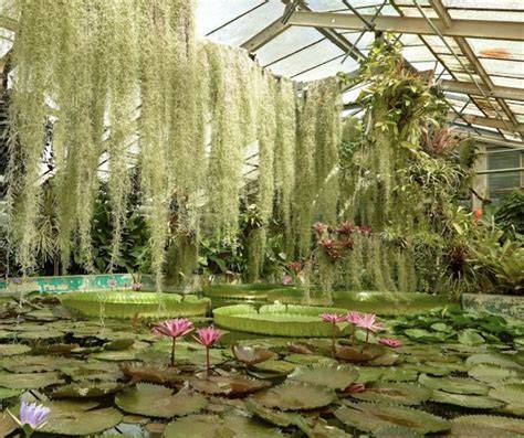 botanická záhrada a expozícia v Tatrách